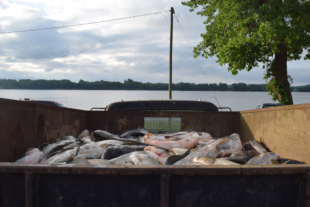 Bowfishing - Firehouse Bowfishing