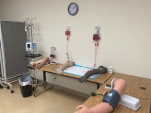 Arm Simulators with IVs